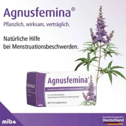 Agnusfemina Pms Behandeln-4 mg Filmtabletten , 100 St