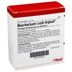 Outlet Injeel Bacterium coli Ampullen, 10 St