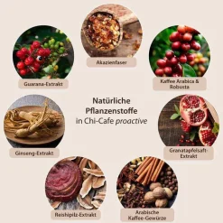 Discount Dr. Jacobs Chi Cafe proactive Pulver, 180 g