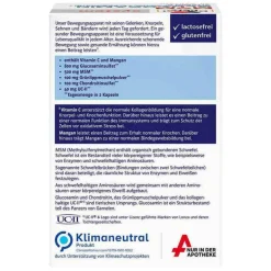Doppelherz Msm Schwefel-MSM Glucosamin system Kapseln, 60 St
